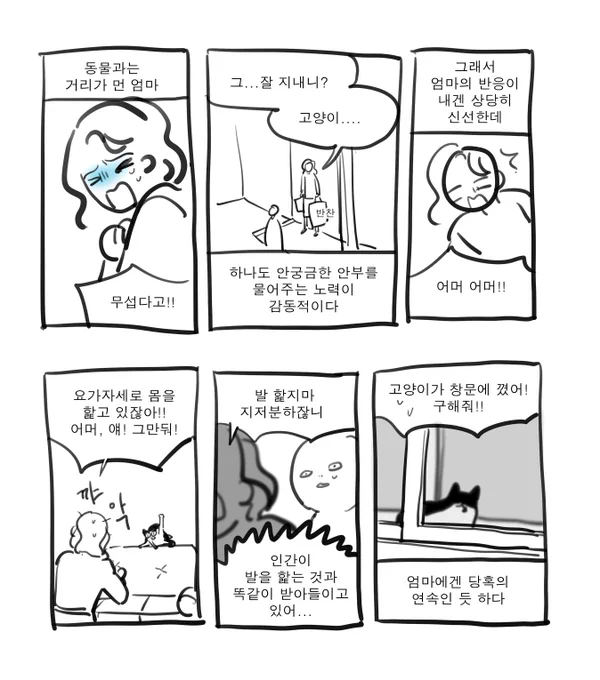 엄마와 낼룸의 만남 