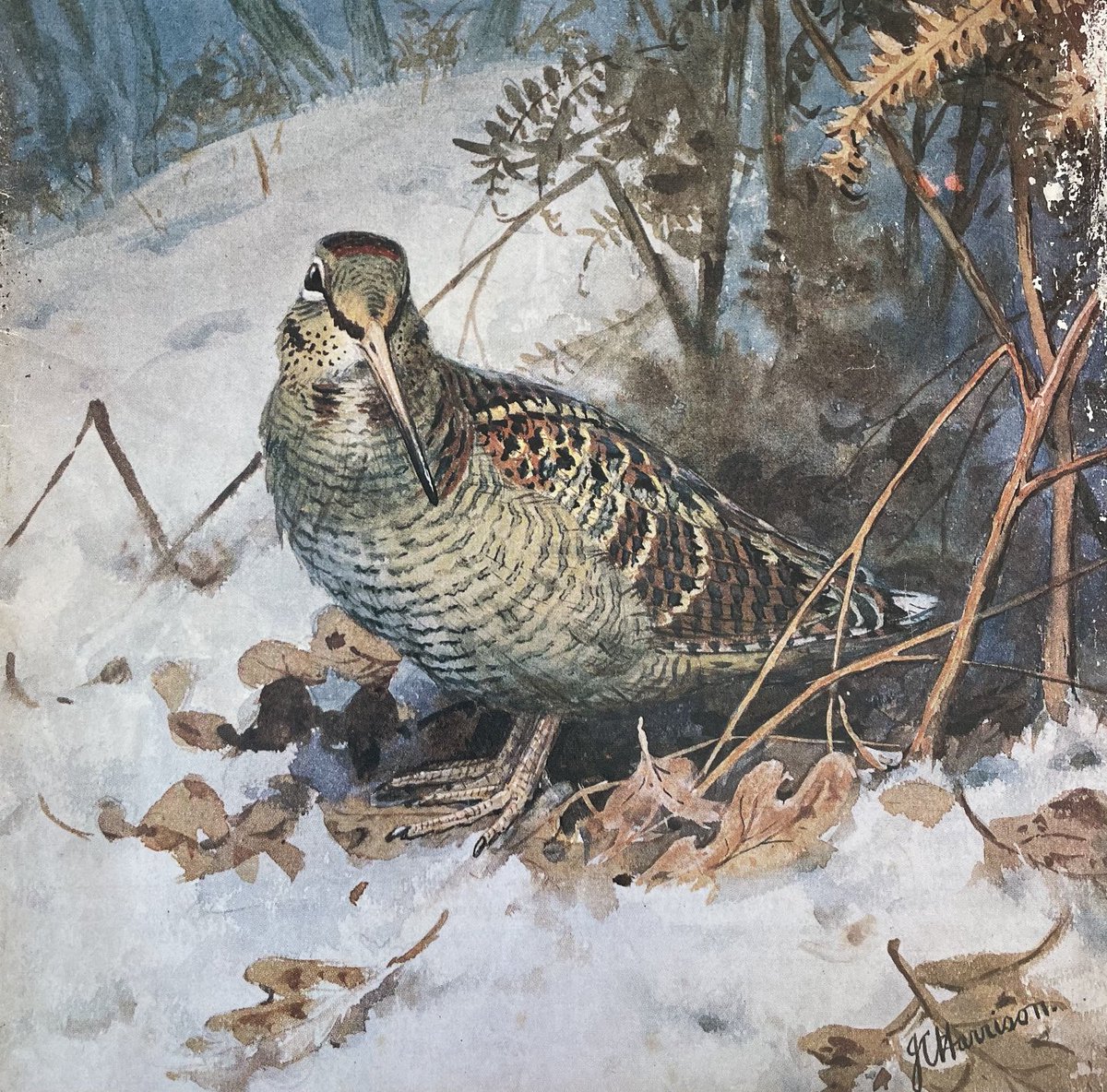 ST cover November 1968