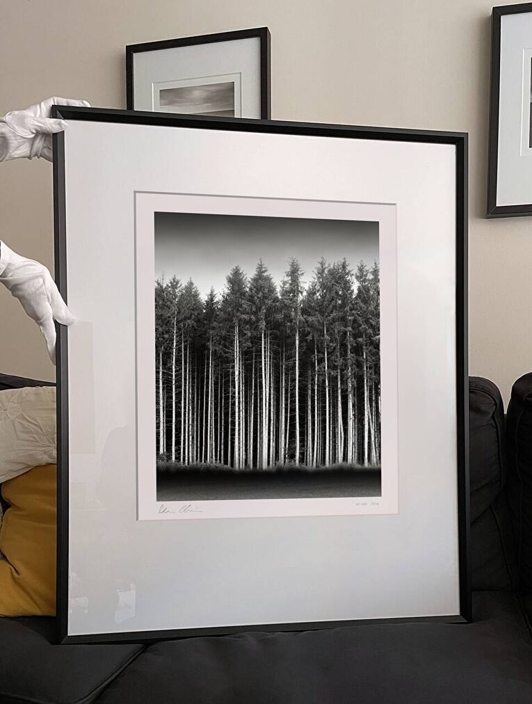 denisolivierart's tweet image. Bavarian Forest, Habach, Germany. August 2023. Ref-11744: Get prints denisolivier.com/photography/ba…
#outdoor #bavaria #xt3 #picea #pine #ortho #deutschland @hasselblad #adoxxt3 #habach @ilfordphoto #hasselblad503cw #bavarian #nature #trunc #forest #trees