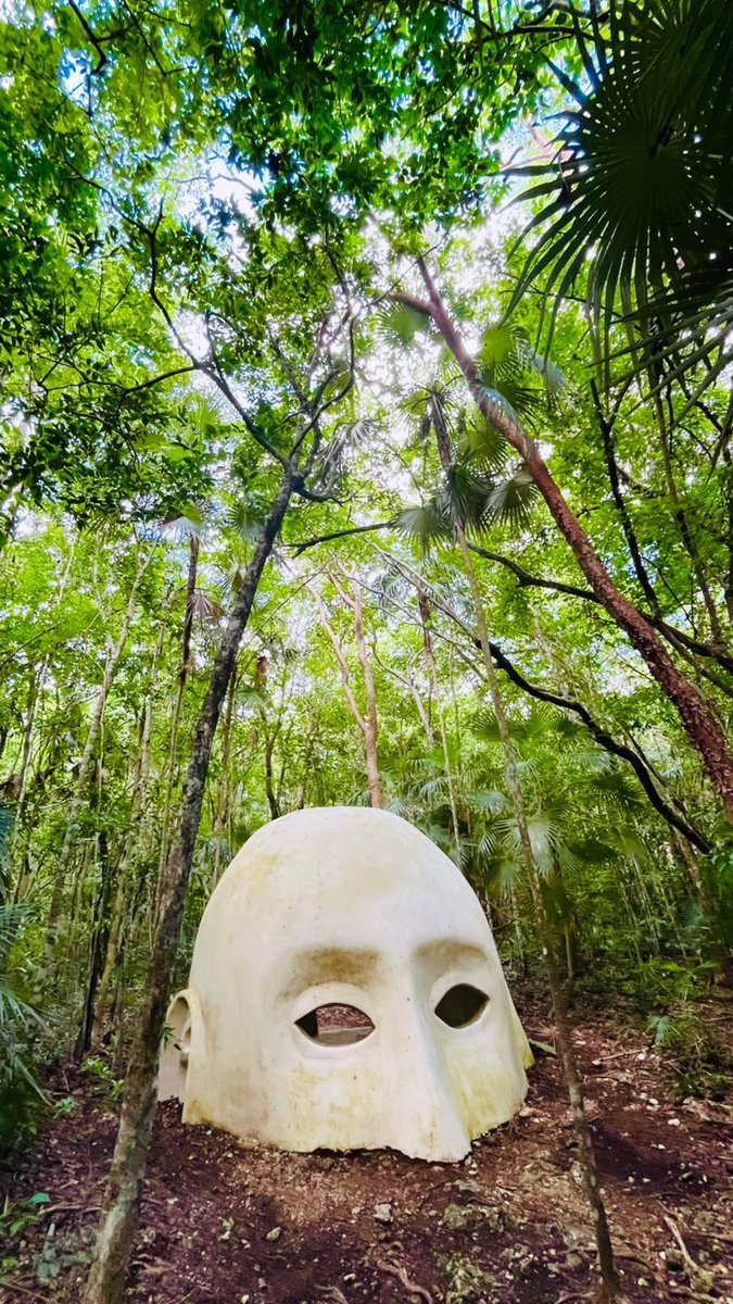 “The whole of nature is a metaphor of the human mind.”

- Ralph Waldo Emerson

#consciousleadership