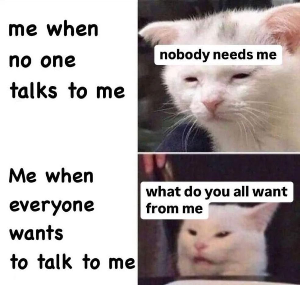 WholesomeMemes (@wholesomememe) on Twitter photo 