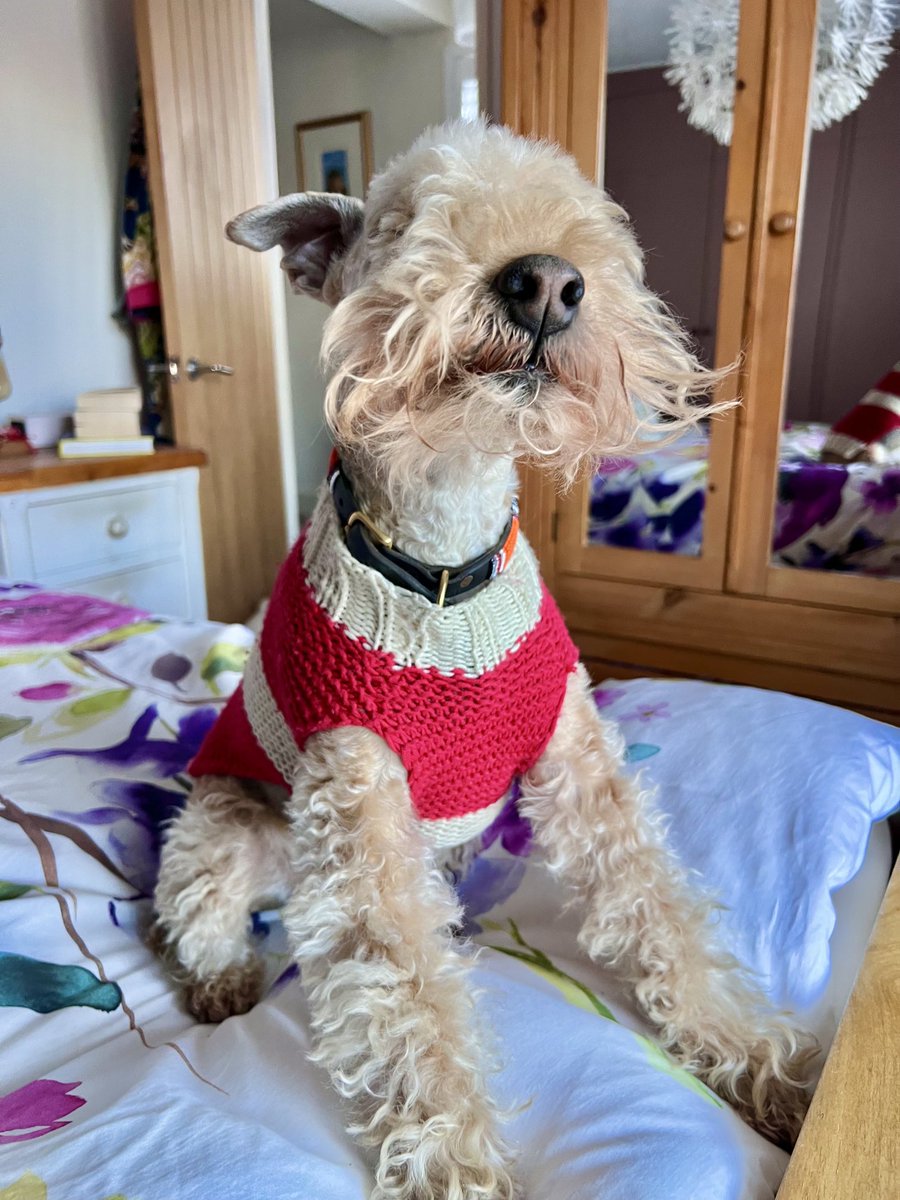 Bertie Lakeland tweet media