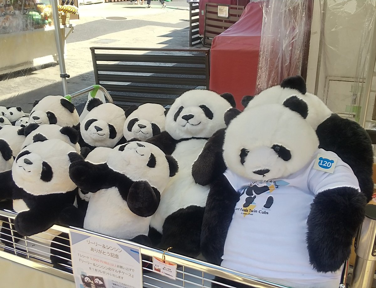 上野動物園 抱っこシャンシャン パンダ ぬいぐるみ BIG Amazon.co.jp: 上野動物園 パンダ シャンシャン ぬいぐるみ 抱っこ