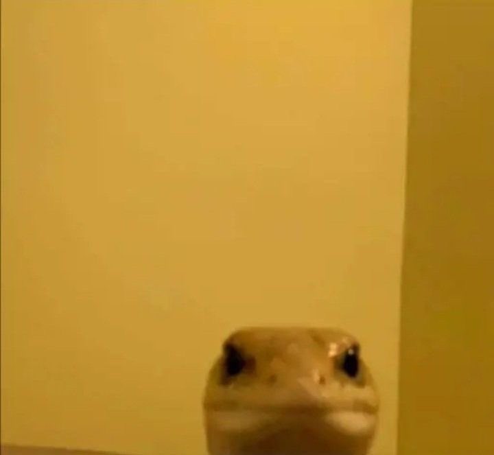 Theo de aura (@matheo_jones) on Twitter photo 