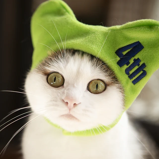 GXFouaXaIAACYCh?format=webp&