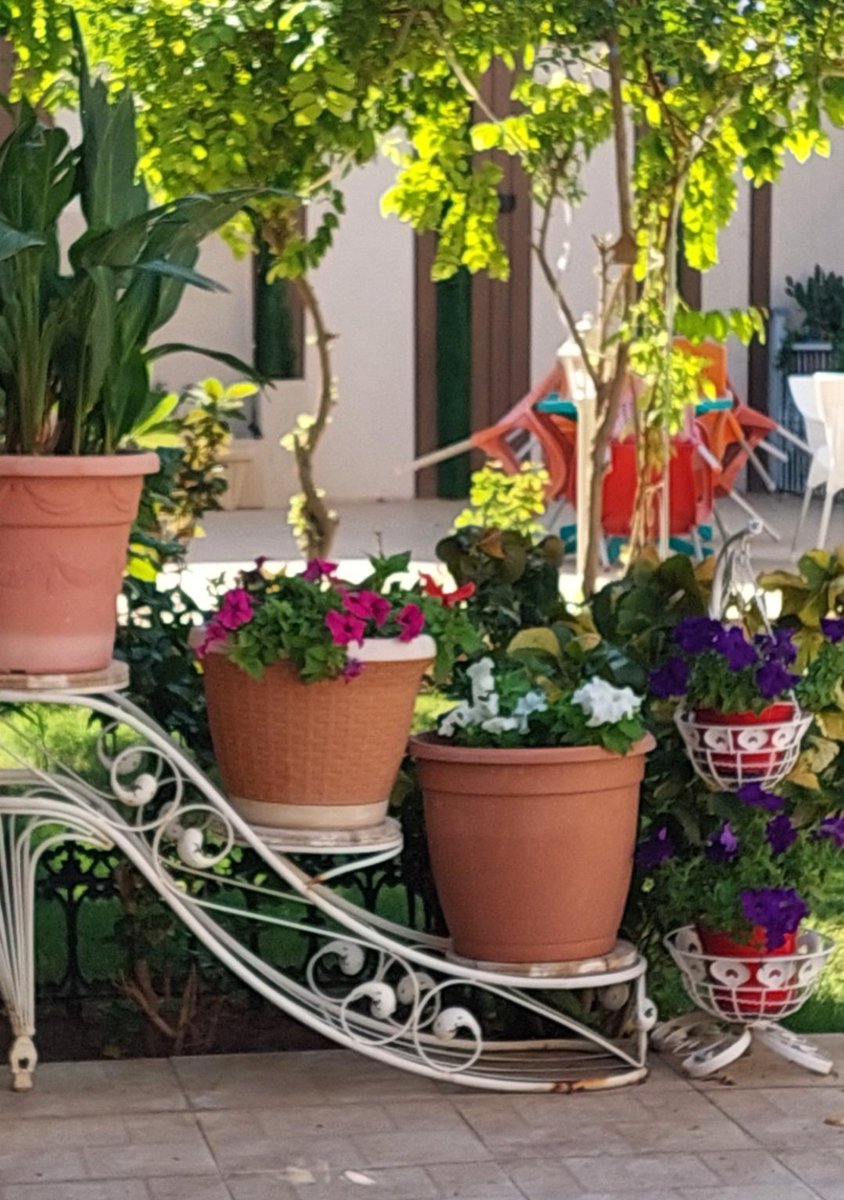 om_mohammad2010's tweet image. #صباح_الاشياء_المشرقه
كلما شعرت بالحيرة والضياع 
اجمع هموم قلبك وارحل إلى الله 
فعنده فقط ستجد النجاة
وراحة البال وطمأنينة القلب
صباح الهداية والخير والبركة🌹🌷⚘️