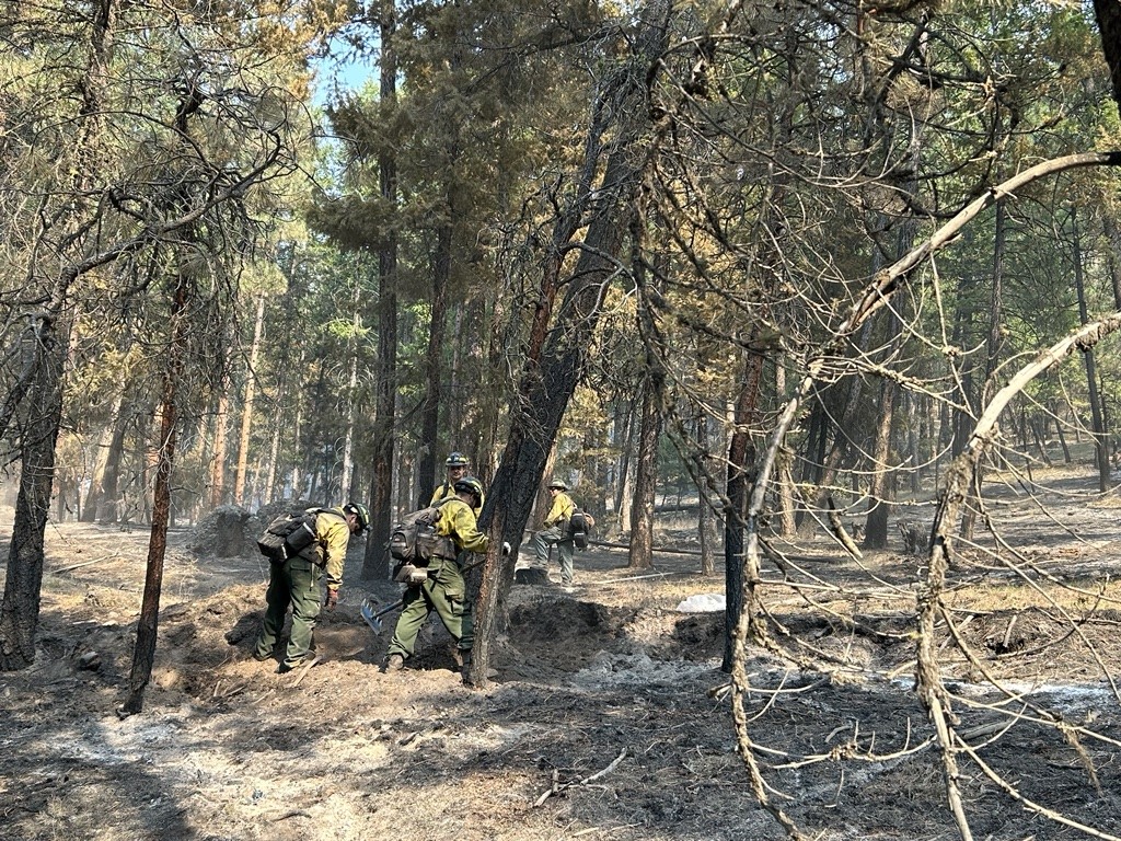 CentralORFire's tweet photo. 🔥#ShoeFlyFire PM Update | September 9
This will be the final evening update.
https://t.co/iX8BCeXkQf……Inciweb: https://t.co/zLcKpYhmNk……Fire Information: 541-362-4119 https://t.co/WGyCQV7Vfd