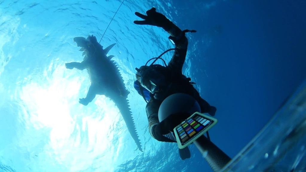 Out of Context Spooky Dinosaurs (@oocmesozoiclife) on Twitter photo 