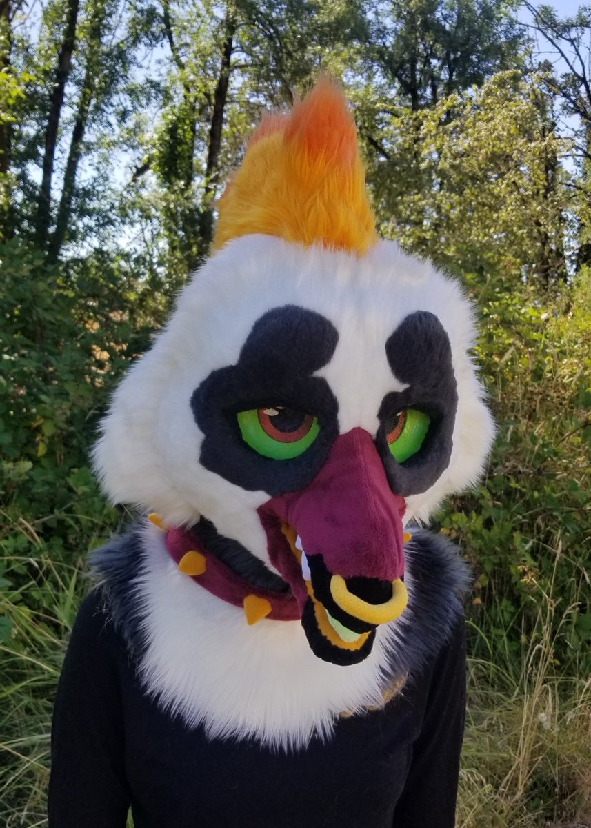 Thattreeshrew's tweet photo. @BassetBites Hello! I like to make dinosaurs and other uncommon species <3 
Heads start at $1250 https://t.co/nR7THY0Y1e