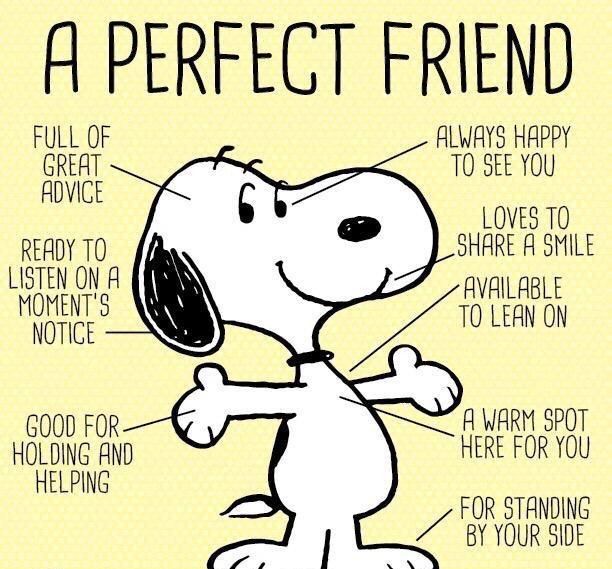I LOVE SNOOPY tweet media