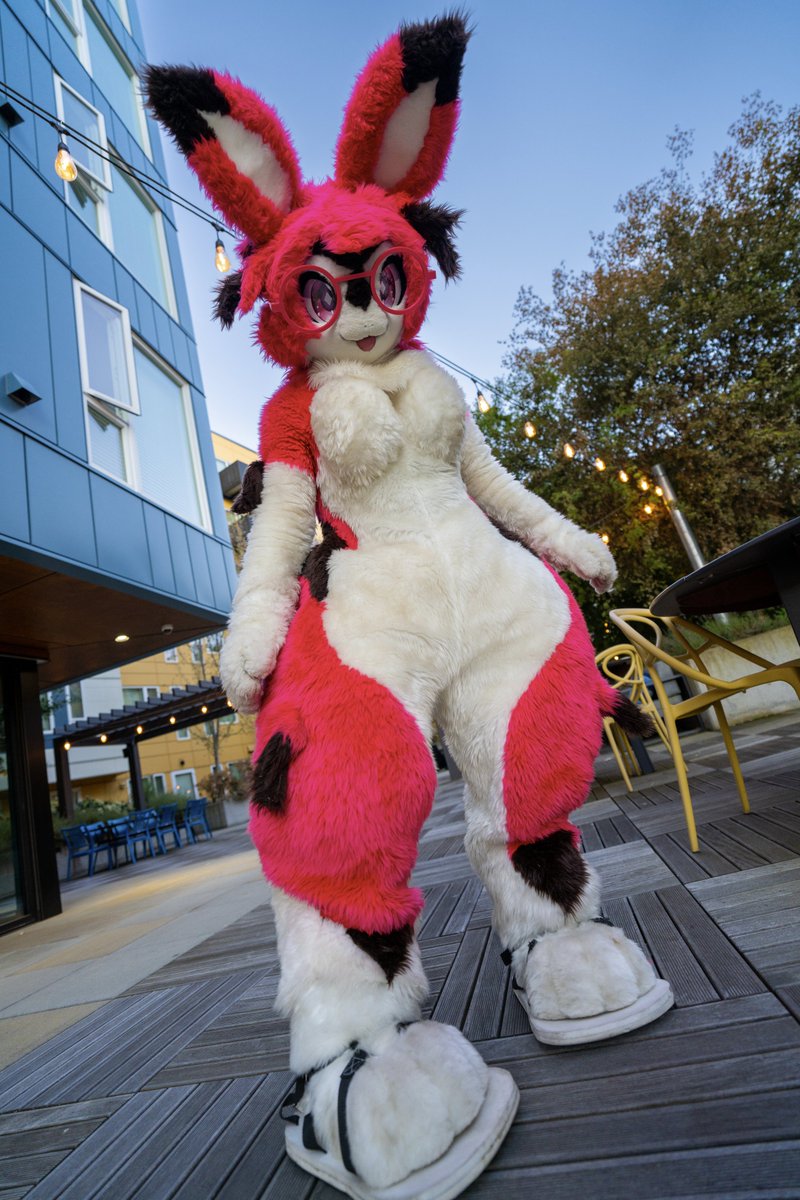 ⚠️ bunny girl has logged in! ⚠️ 🐰

📸 <a href="/Viruleince/">Viru</a> 

#FursuitFriday