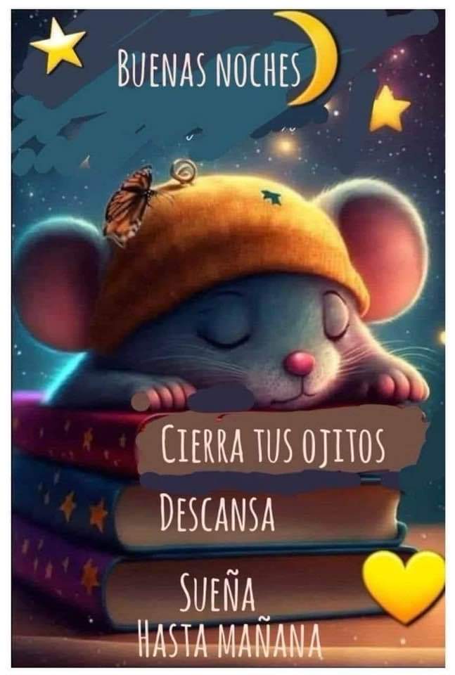 Bonita noche