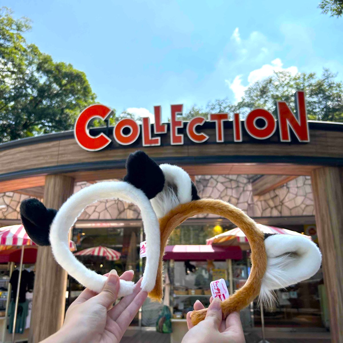 多摩動物公園［公式］ on X: 