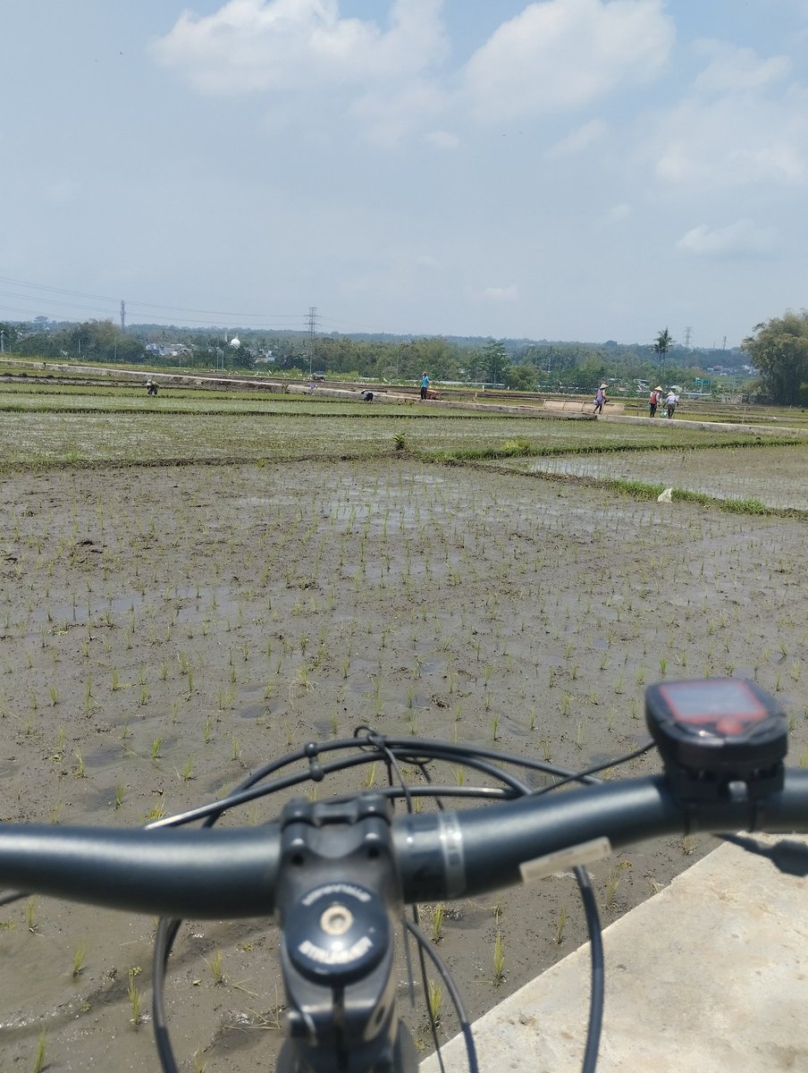 . "Ada hal yang lebih penting dalam hidup daripada menang atau kalah dalam permainan."

- Lionel Messi