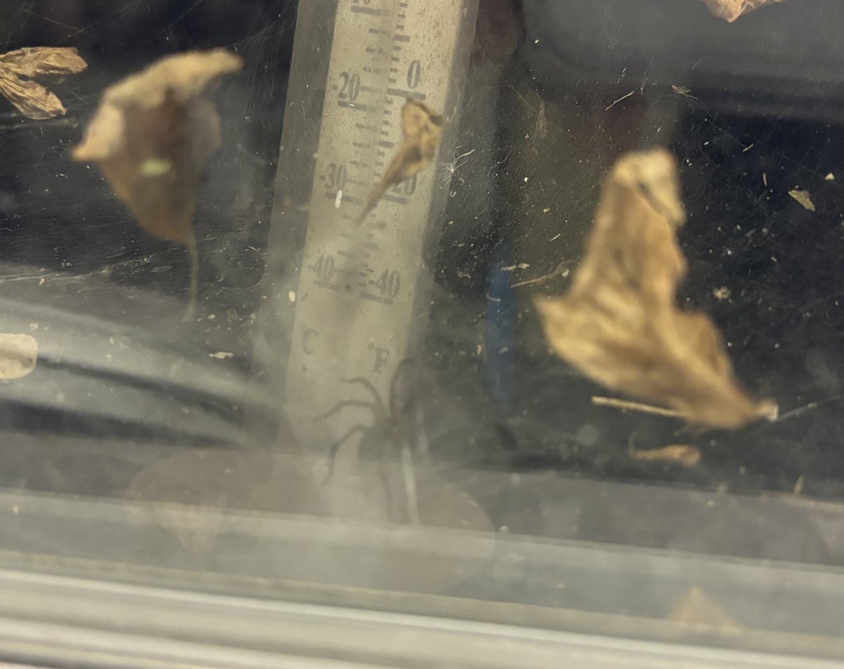 Jennifer Lavallee💙💛 tweet media