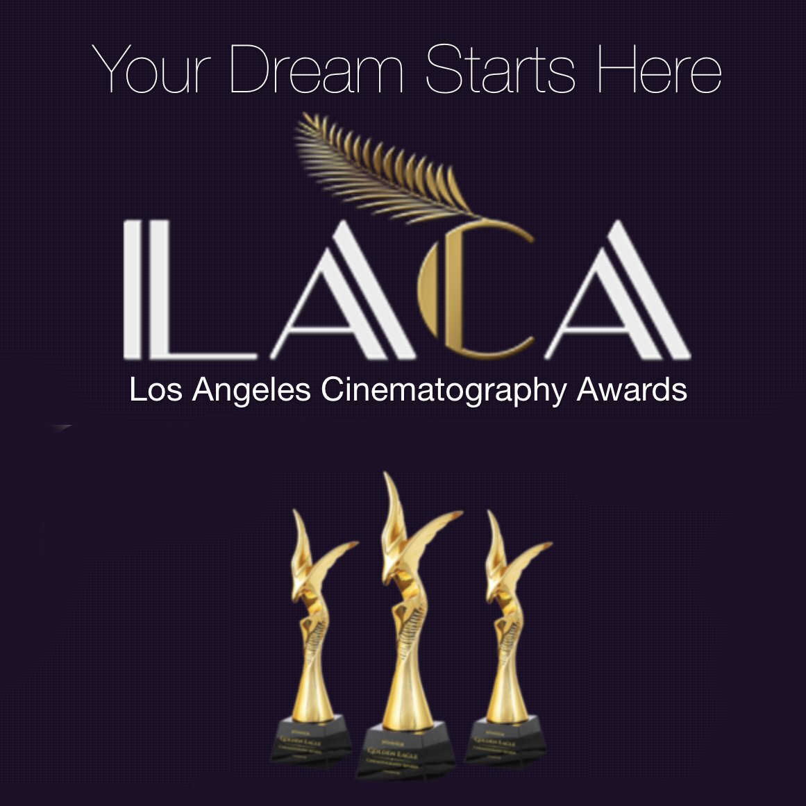 Son Akşam Yemeği, Los Angeles Cinematography Awards'tan En İyi Film, En İyi Yönetmen (Levent Onan) En İyi Kadın Oyuncu (Pelin Akil), En İyi Erkek Oyuncu (Onur Tuna), En İyi Müzik (Mustafa Yazıcıoğlu), En İyi Ses (Mustafa Yazıcıoğlu) ve En İyi Sinematografi olarak tam yedi ödülle