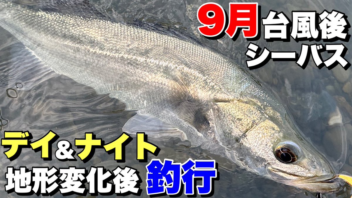fe_hair's tweet photo. YouTube、湾奥ハイスクールupしました！
よろしくお願いします🙏

https://t.co/MoHdWdjSzr https://t.co/4Tb3HYOQUG