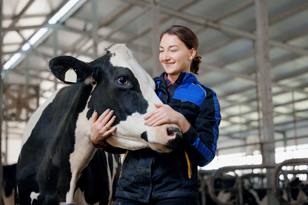 BZL_aktuell's tweet photo. Das @BMEL fördert #Forschungs- und #Entwicklungsprojekte zum Thema #zukunftsfähigen und nachhaltige #Tierzucht.
Projektideen können noch bis zum 01.10.2024 eingereicht werden!
Hier geht es zum Förderaufruf:
➡https://t.co/Cr3uymMRbf
#PTBLE https://t.co/vznMKPKRZT