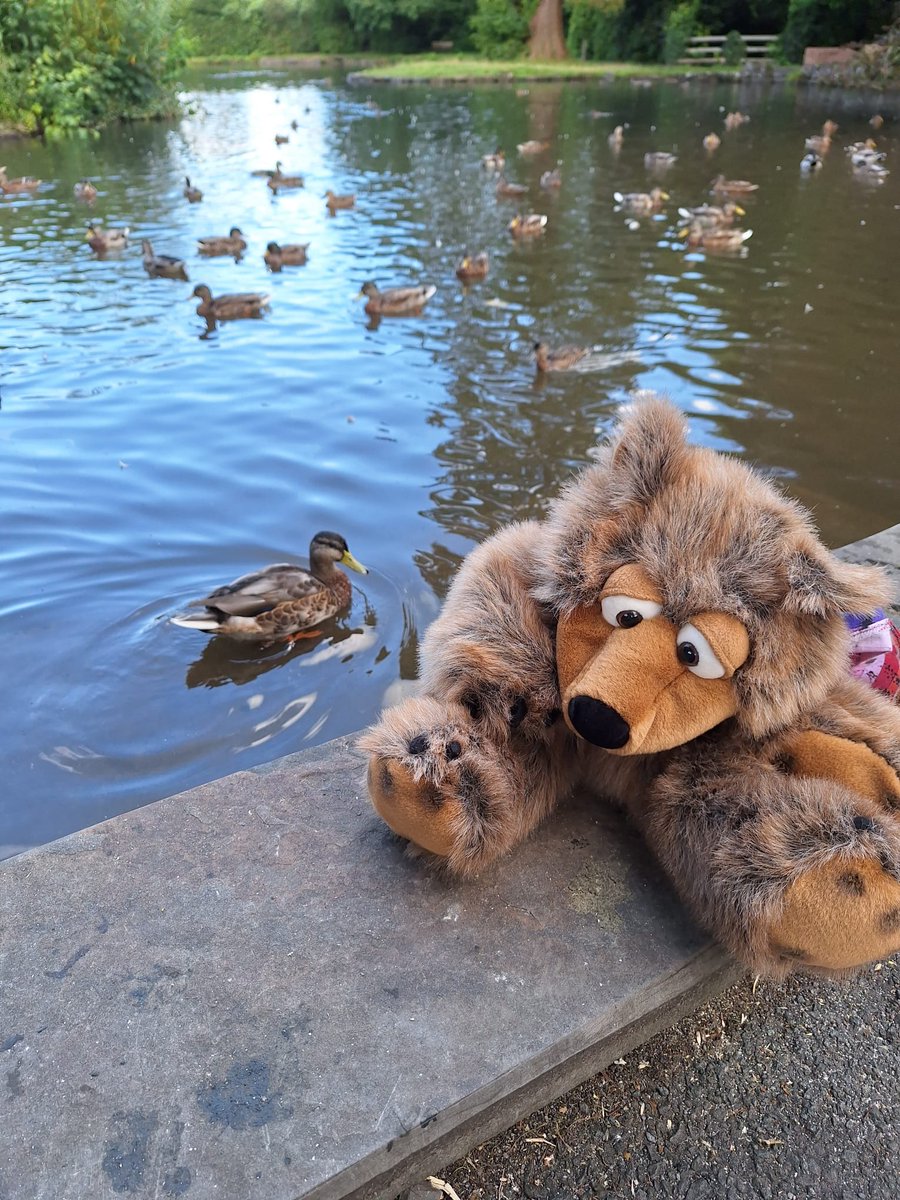 spectrumcymru's tweet photo. #TedOnTour #TedArDaith continues at Craig-Y-Nos Country Park and castle. The Country park is a 40 Acre Victoria garden, filled with pons, trees and bridges. The castle was once the home of the famous opera singer Adelina Patti. Ted enjoyed a picnic in the sun and fed the ducks. https://t.co/GJi8LdYHsv
