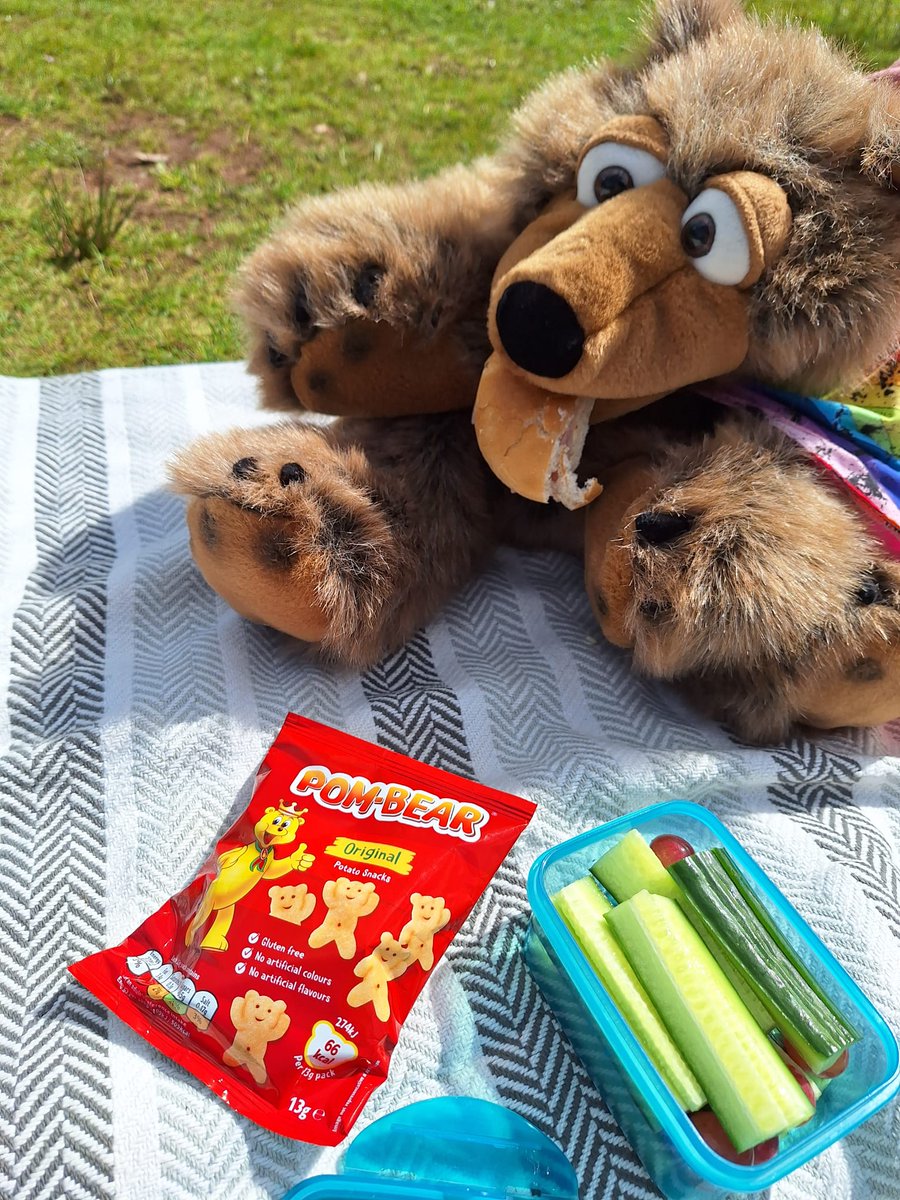 spectrumcymru's tweet photo. #TedOnTour #TedArDaith continues at Craig-Y-Nos Country Park and castle. The Country park is a 40 Acre Victoria garden, filled with pons, trees and bridges. The castle was once the home of the famous opera singer Adelina Patti. Ted enjoyed a picnic in the sun and fed the ducks. https://t.co/GJi8LdYHsv