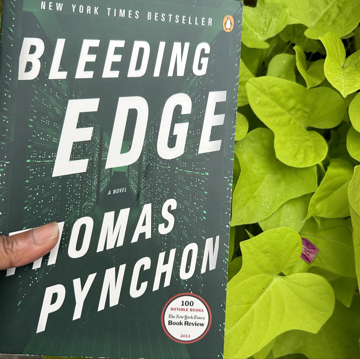 thenextpage22's tweet photo. #BleedingEdge
#ThomasPynchon
“My mother demonstrated….”
"Nicaragua…Ronald Raygun and his little pals."
Iran-Contra affair where in the 1980s arms were sold illegally to Iran to sent funds to the Contras (rebel group who employed acts of violence against civilians) in Nicaragua. https://t.co/coGHaEouOs