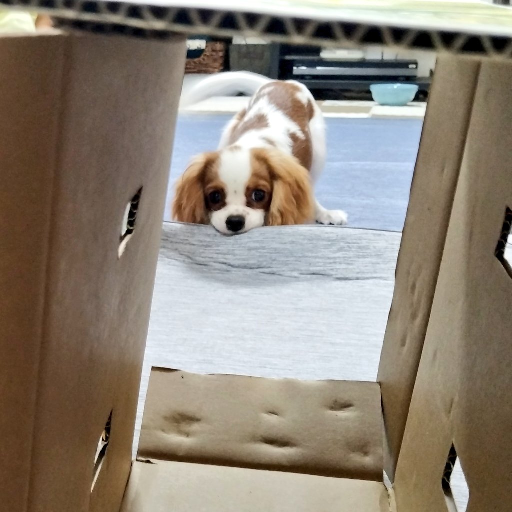 Y_ashi_n's tweet image. 非常にかわいい