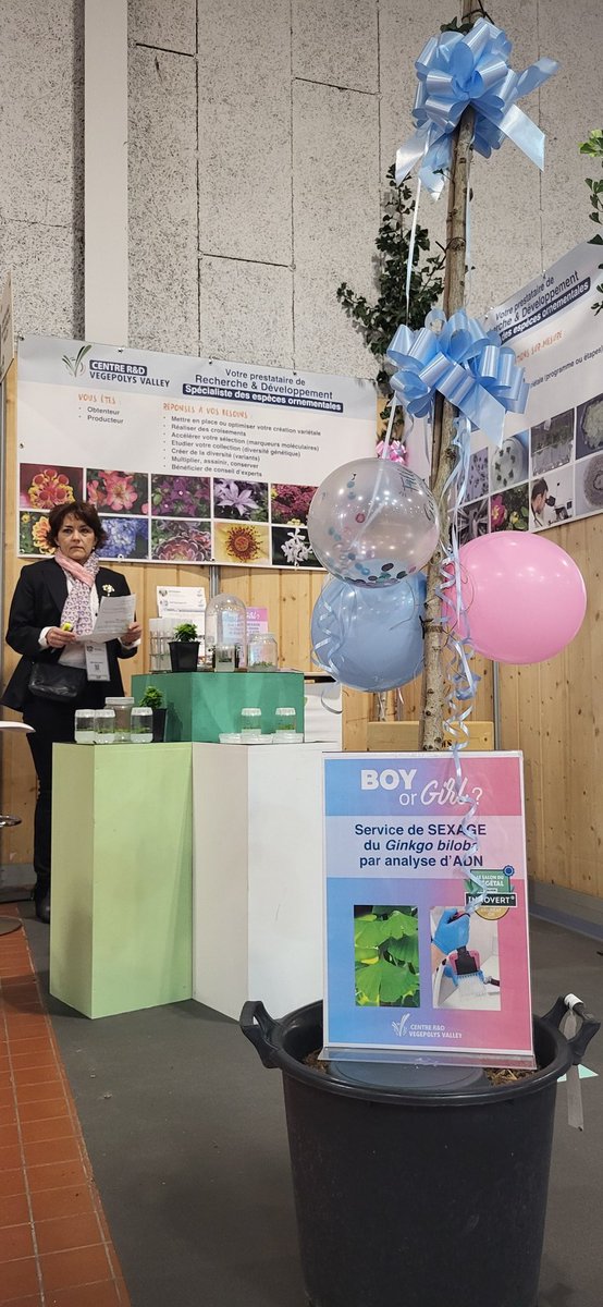 VEGEPOLYSVALLEY's tweet photo. 🪴 @SalonDuVegetal : remise des prix du concours #Innovert. Un grand 👏 à notre Centre R&amp;D pour 🏅dans la catégorie "produit &amp; service " avec le service de sexage du Gingko Biloba et à Sapho pour son agapanthe blanche 👏ainsi que 🥈 pour Cerdys et sa Mademoiselle Françoise! https://t.co/J1BkwnzMk6