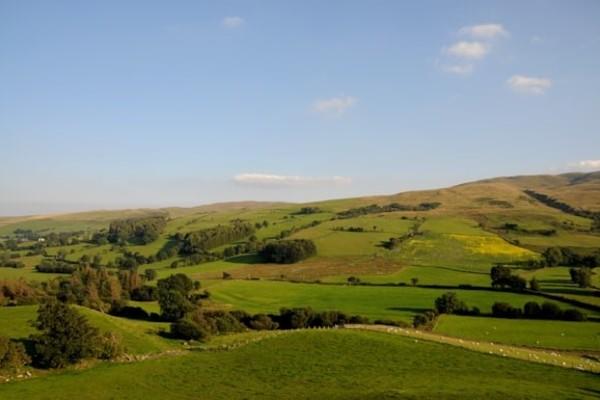 Mae cam datblygu'r Cynllun Adnoddau Naturiol Integredig (INRS) newydd ar agor ar gyfer ceisiadau tan 27 Medi. Bydd yn galluogi ffermwyr ac eraill i weithio gyda'i gilydd i wella ein hadnoddau naturiol a darparu buddion i fusnesau fferm a busnesau gwledig busnescymru.llyw.cymru/materiongwledi…