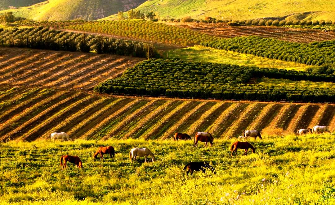 We wish to extend our thanks to Anthony Bennett and Paul Kiernan from #FAO for shedding light on the #Invesmentforum2024 yesterday.  
With international financing guarantees, Israeli innovative companies in water and agriculture have a prime opportunity to get involved .