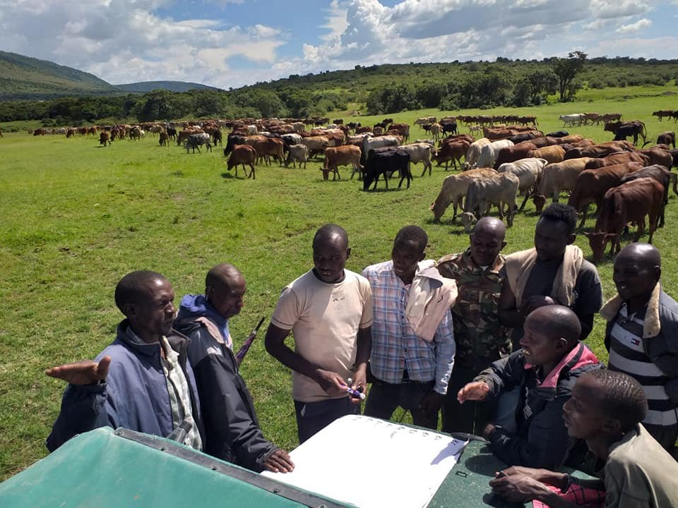 petertyrrell_ke's tweet photo. 🚨New paper alert!🚨 Excited to share our Practice Insight on the evolution of a community conservancy in the Maasai Mara https://t.co/iIK8PyLUuM 
We explore how communities are balancing conservation with development, offering key insights for others facing similar trade-offs. https://t.co/A6DX3rgwYm