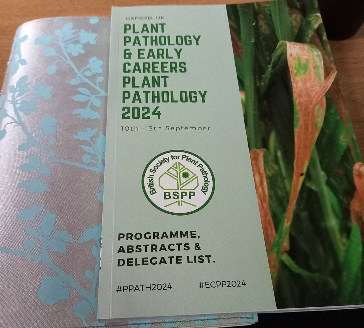 IsabelleSimsPhD's tweet image. Excited to spend the week @BS_PP conference,  so many exciting talks and discussions to come 😃