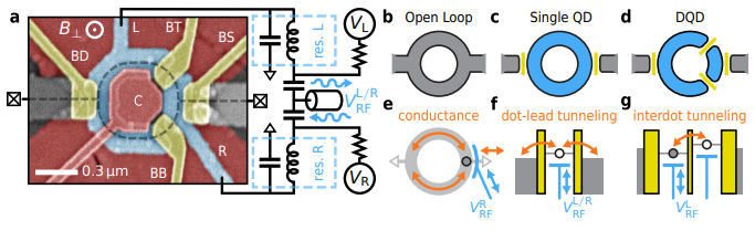 scipost.org/SciPostPhys.17…
What happens when you thread flux through a double quantum dot? We use gate-sensing to answer this question.