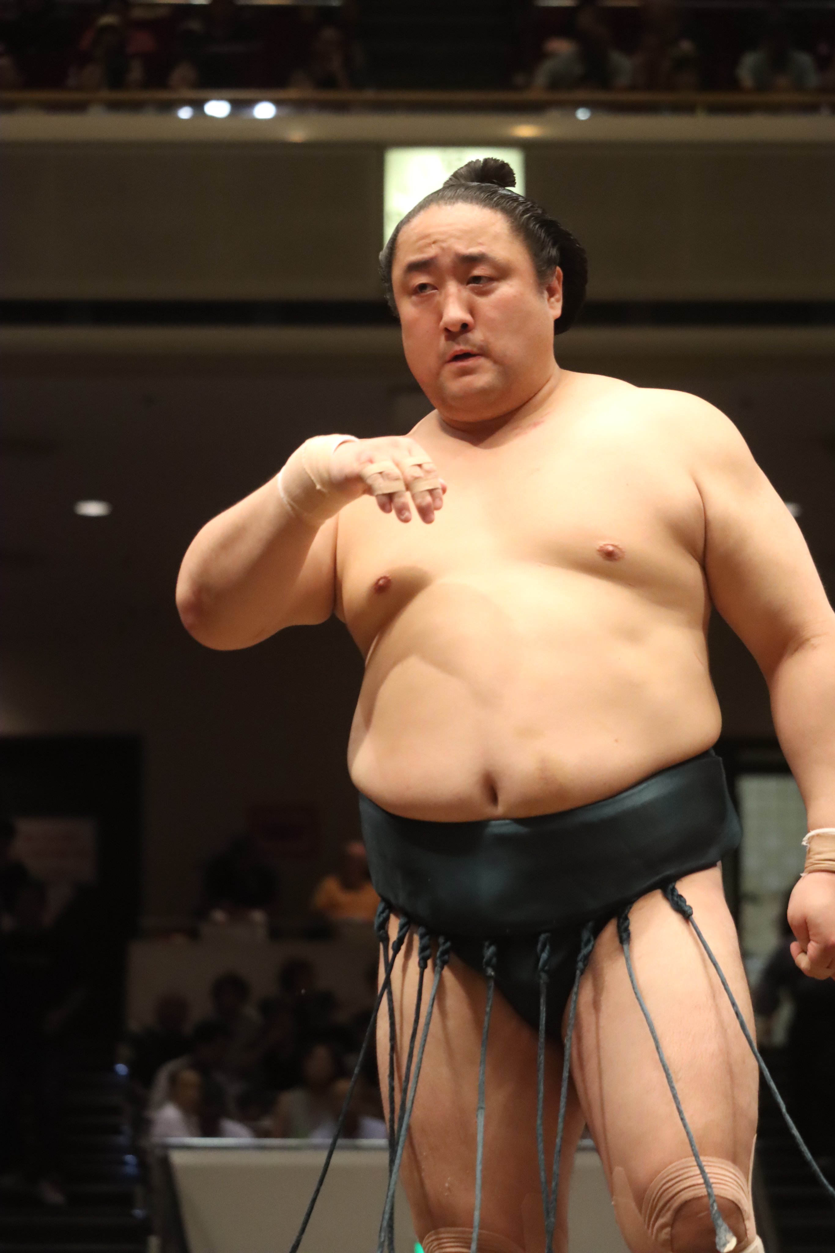 日本相撲協会公式 on X: 