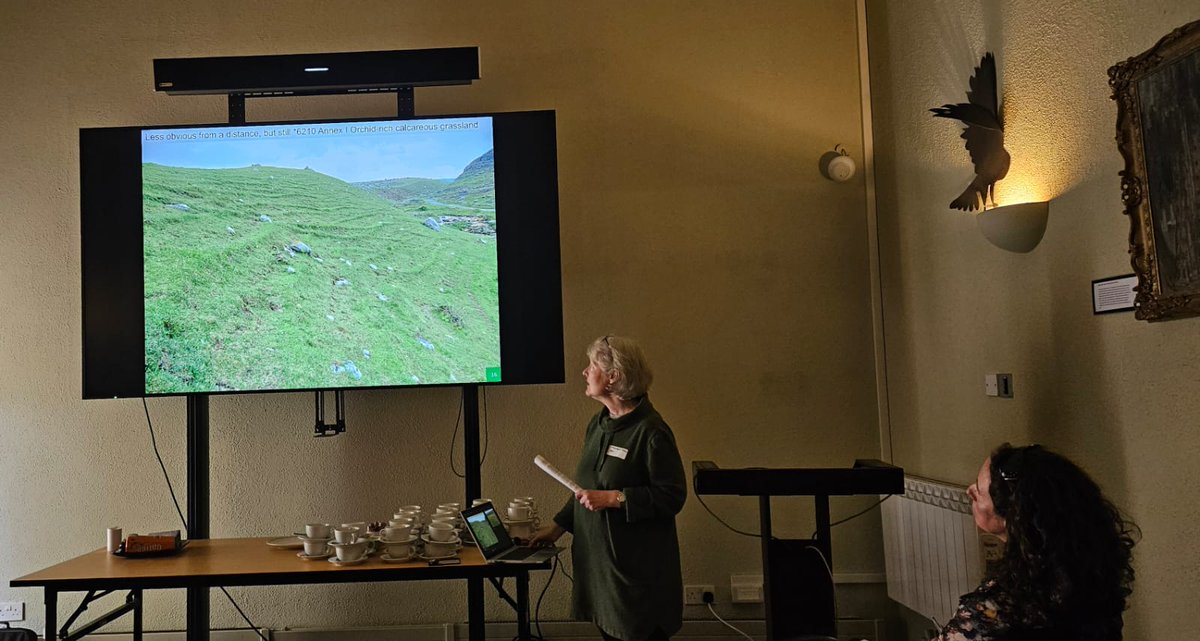 GrasslandsIrl's tweet photo. Taking first steps towards a #GrasslandConservationStrategy ... meeting in the stunning #CoolePark yesterday to get ideas flowing and discussions started. Huge thanks to all who came 👏😊
#GreatIrishGrasslands 
#SemiNaturalGrasslands

@NPWSIreland @Notice_Nature @PollinatorPlan https://t.co/oMWaQzmv5o
