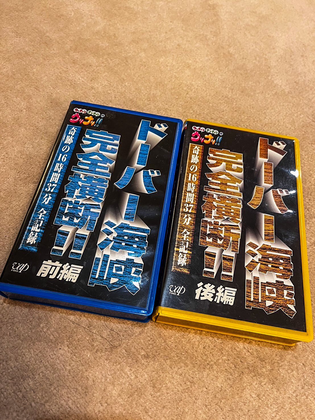 堀部圭亮 on X: 