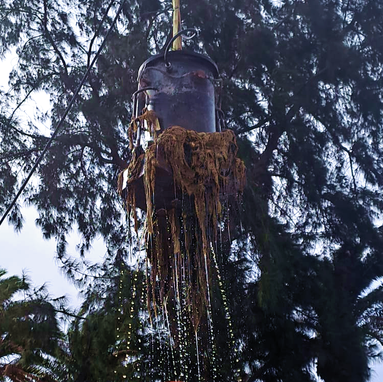 😱 ¡Ayer pescamos un hermoso ejemplar del #MonstruoDeLasToallitas en #Lanzarote! 🙆 Apareció de imprevisto mientras realizábamos la limpieza de las #EBAR´s 👨‍🏭
#ElMonstruoExiste 👹
☝️ ¡Recuerda, las toallitas a la papelera! 🚮