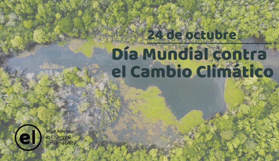 🌍 En el Día Mundial contra el #CambioClimático, te animamos a ser parte de la solución de un desafío global.

Te ayudamos a transformar tus operaciones hacia un futuro más sostenible.

energialocal.com/contacto/