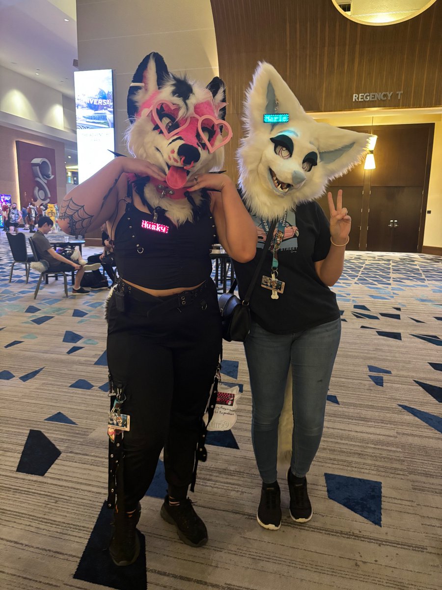 #Megaplex2024 was so fun!! #furry #furryfandom #megaplex24 #FursuitsEveryday