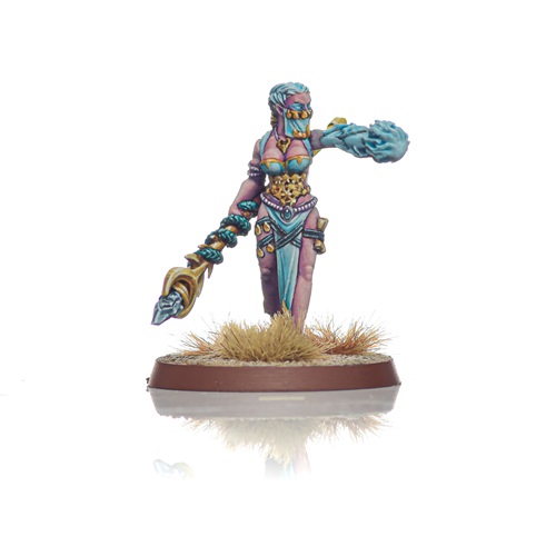 ShieldwolfMiniatures tweet media