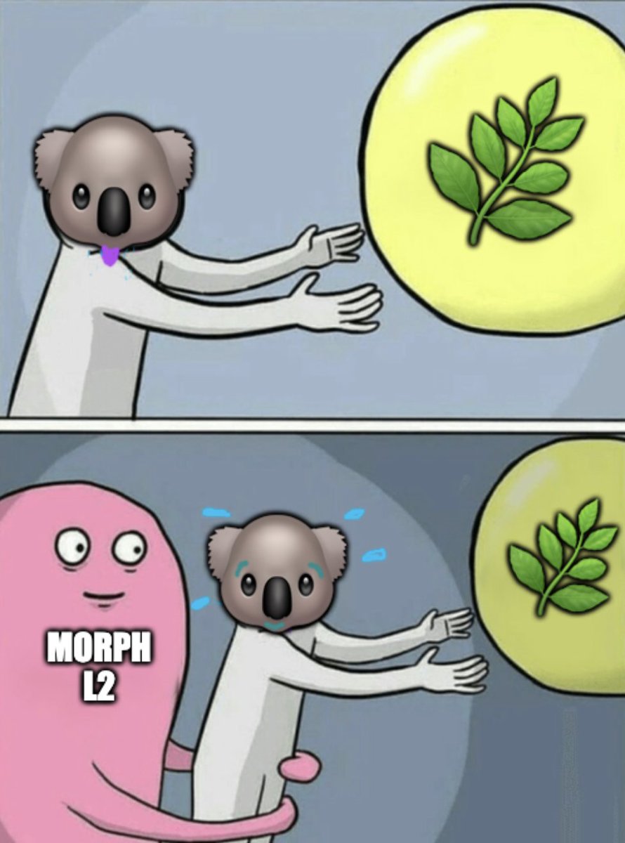 crypto_doy's tweet photo. 🌿🐨
@MorphL2
#MorphmemeTH https://t.co/FMXAqzIBOU