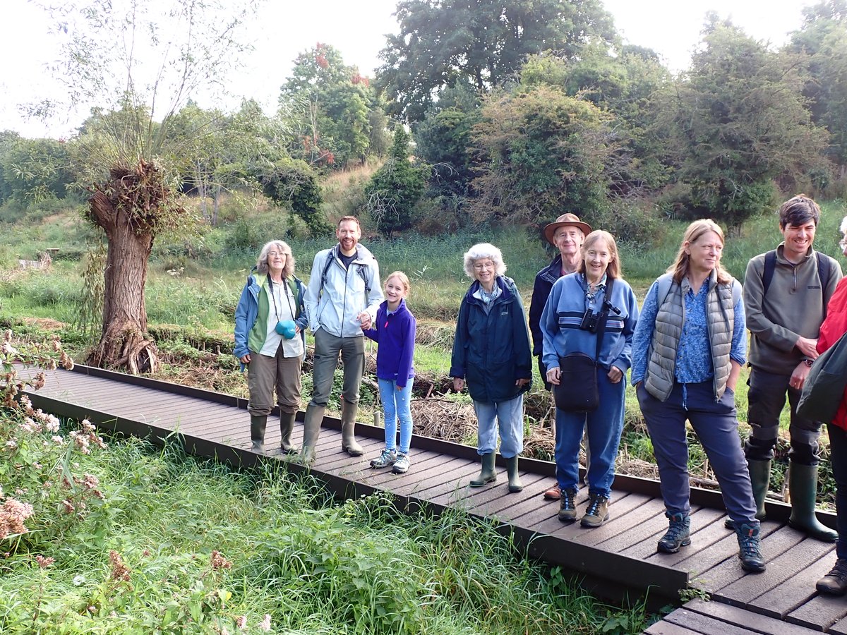 Judy Webb tweet media