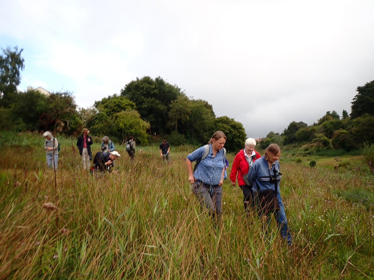 Judy Webb tweet media