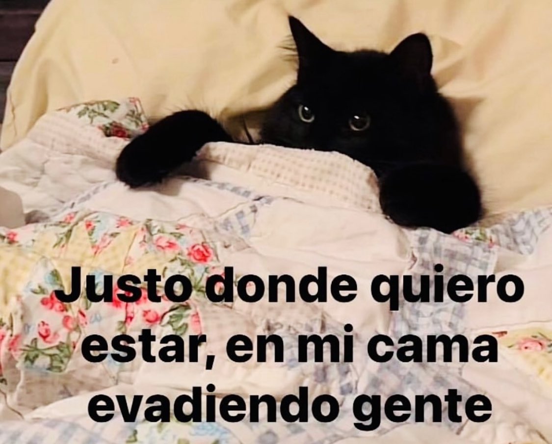 SoyCristianRey's tweet photo. https://t.co/CWIqtqSOFu