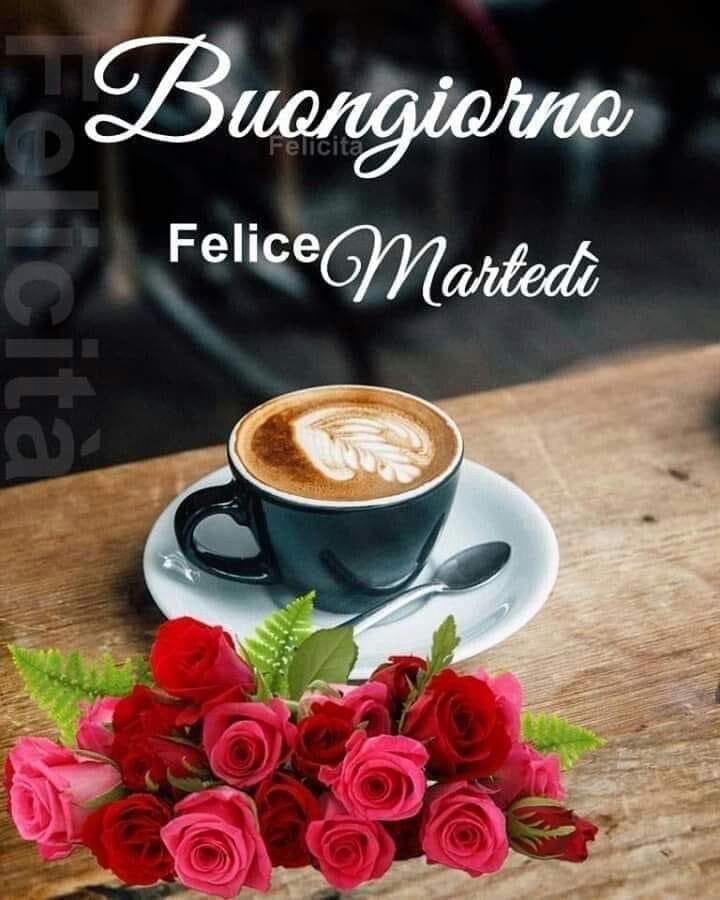 RITABIANCHi56 tweet media