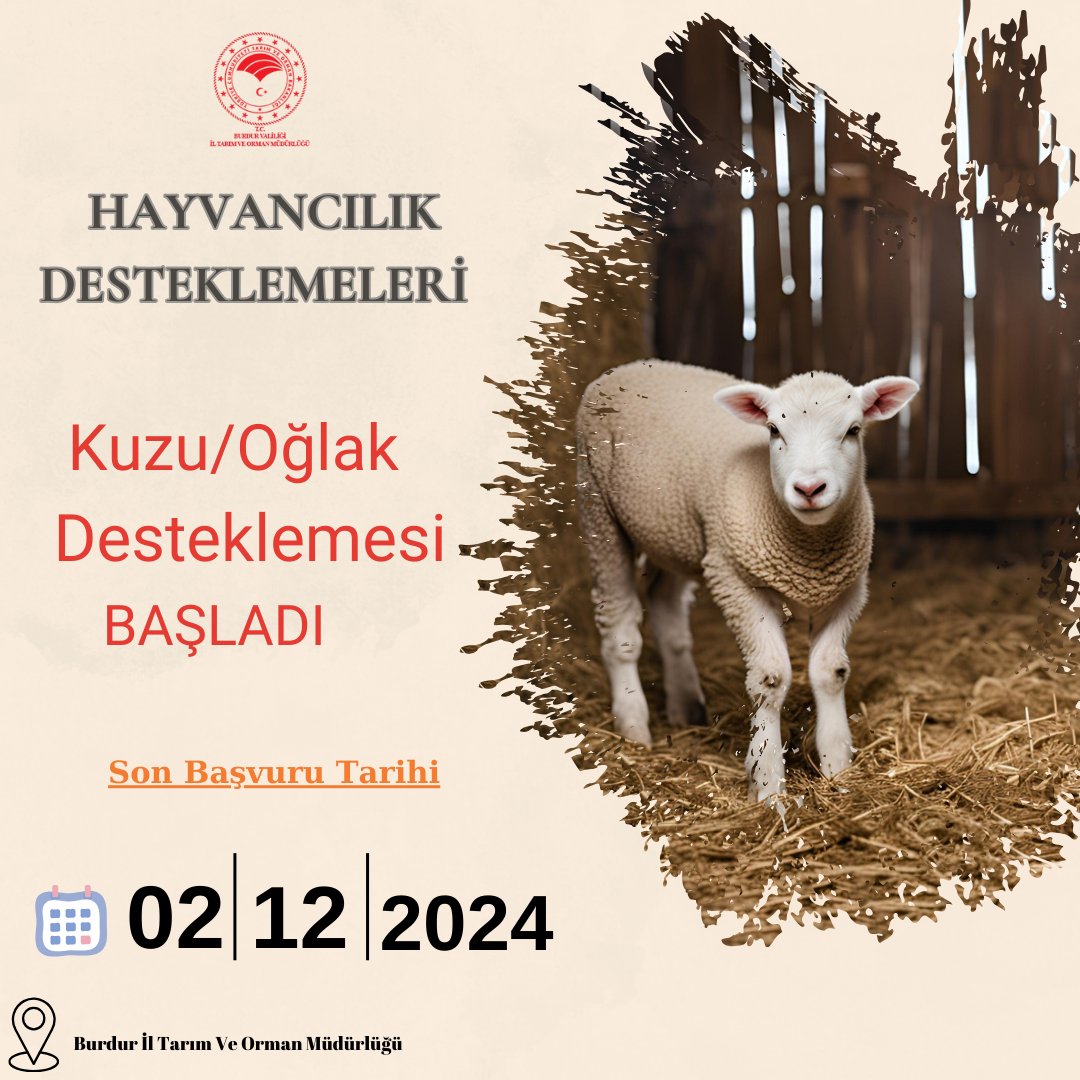 Burduriltarim's tweet image. 📢 Kuzu/Oğlak Desteklemeleri 1. Dönem Başvuruları Başladı!
🗓️ Başlangıç: 2 Eylül 2024
 🗓️ Bitiş: 2 Aralık 2024
Kuzu ve Oğlak destekleme başvurularınızı kaçırmayın!
#Destekleme #KüçükbaşHayvancılık #TarımveHayvancılık #KüçükbaşDestek #HayvanDestekleme
