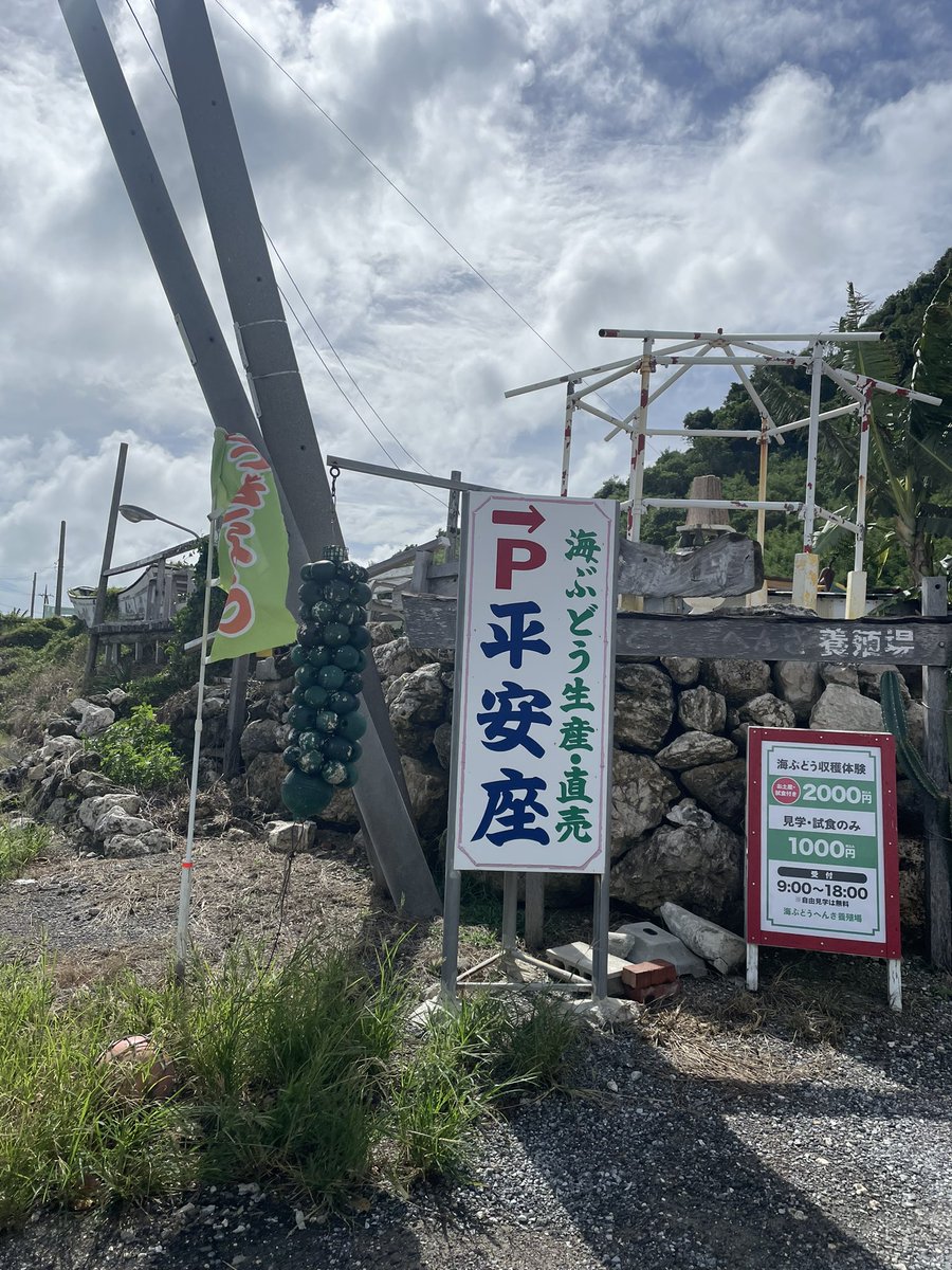 hotcake_masa's tweet photo. いつもの https://t.co/F9x0F7Pquj