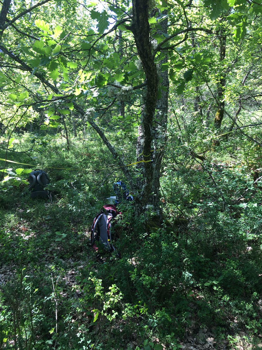 #AETE2024 <a href="/assises_energie/">Assises Européennes de la Transition Energétique</a> c’est parti. Présentation jeudi de la première version de notre jeu des 7 familles de la forêt dans le cadre du doctorat forêt d’Andréa ! Contactez-nous pour en savoir plus !