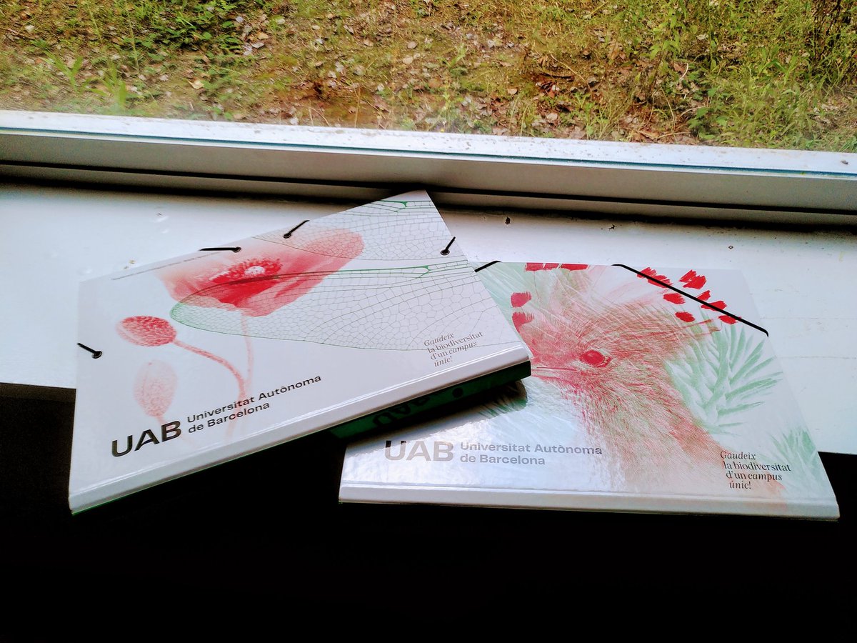 Sandra Saura Mas (@sandrasauramas) on Twitter photo Per què la natura és transversal, està a tot arreu i en formem part...
🦉🪻Aquest any els animals i plantes del campus universitari, també estaran dins les aules de filosofia, economia, ciències, educació, polítiques, enginyeria, turisme... a la <a href="/UABBarcelona/">Universitat Autònoma de Barcelona</a> Per què la natura és transversal, està a tot arreu i en formem part...
🦉🪻Aquest any els animals i plantes del campus universitari, també estaran dins les aules de filosofia, economia, ciències, educació, polítiques, enginyeria, turisme... a la <a href="/UABBarcelona/">Universitat Autònoma de Barcelona</a>
