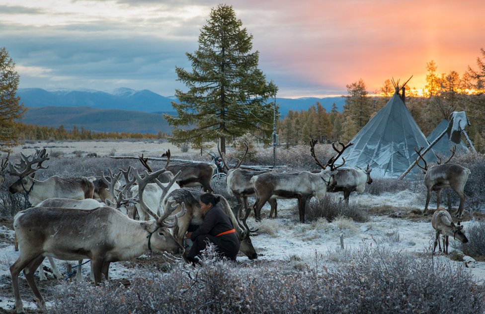 BatchukaO's tweet photo. 🥰 Тайгад амьдрал Минималист.
#MongolianTaiga #NatureLovers #WildernessAdventure #ExploreMongolia #WildlifePhotography #OutdoorExploration #TaigaEcosystem #MongoliaTravels #MountainNature #ForestVibes #UnspoiledBeauty #AdventureAwaits #MongolianWildlife #TravelDiaries #NatureDocumentary #EcoTourism #TravelAdventure #CambodiaNature #PeacefulNature #NatureScenery