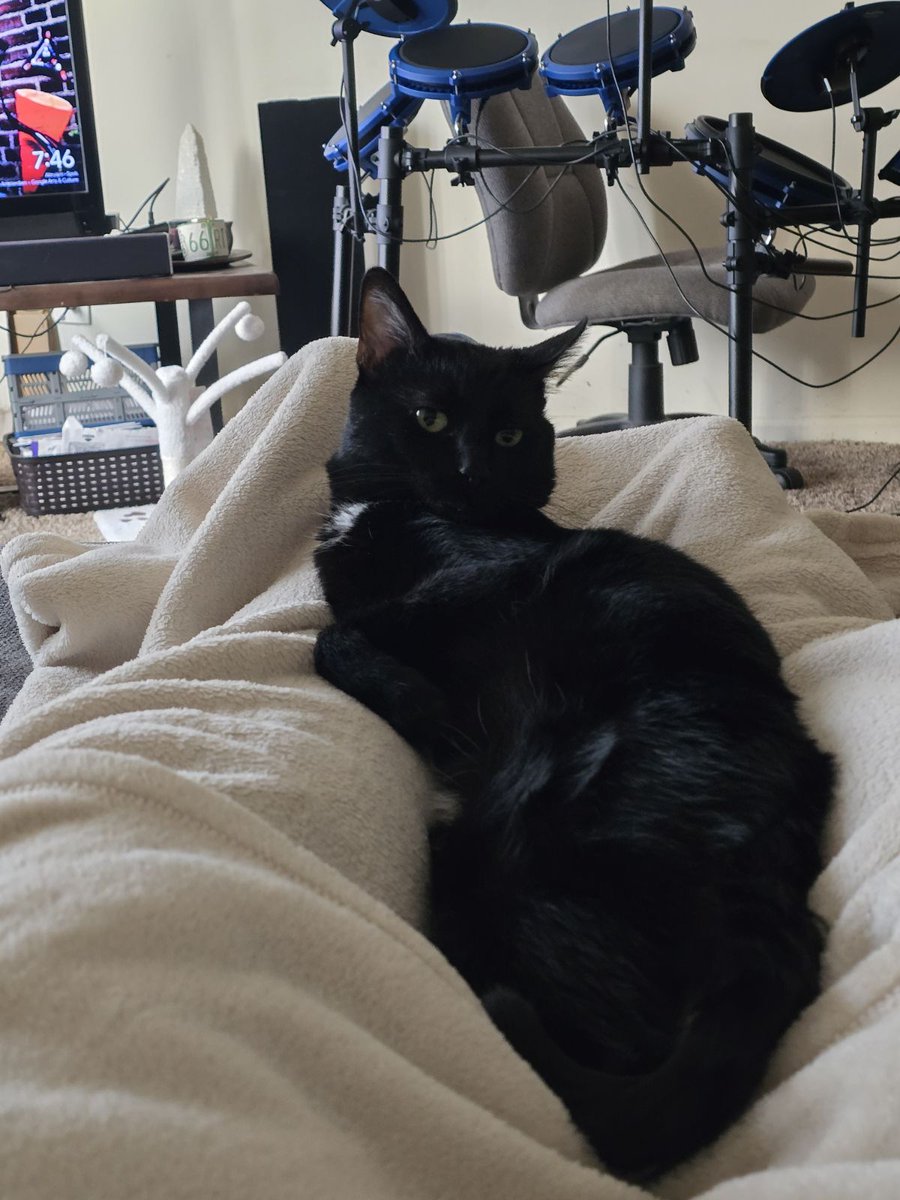 Will (Deus) tweet media